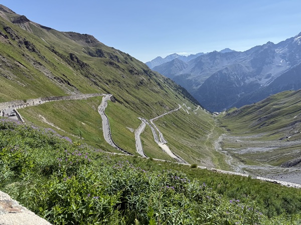 3LG F3 Stelvio rofun